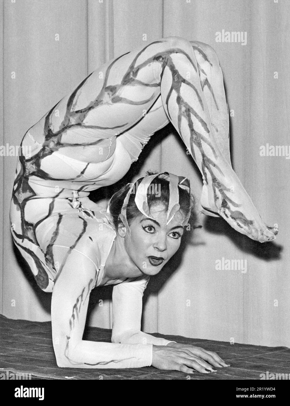 Acte acrobatique. On voit une femme se balançant sur ses bras avec ses jambes dans l'air avec les pieds devant son visage. Une performance et un contrôle de la carrosserie impressionnants dans le modèle 1950s. Suède 1953 Banque D'Images