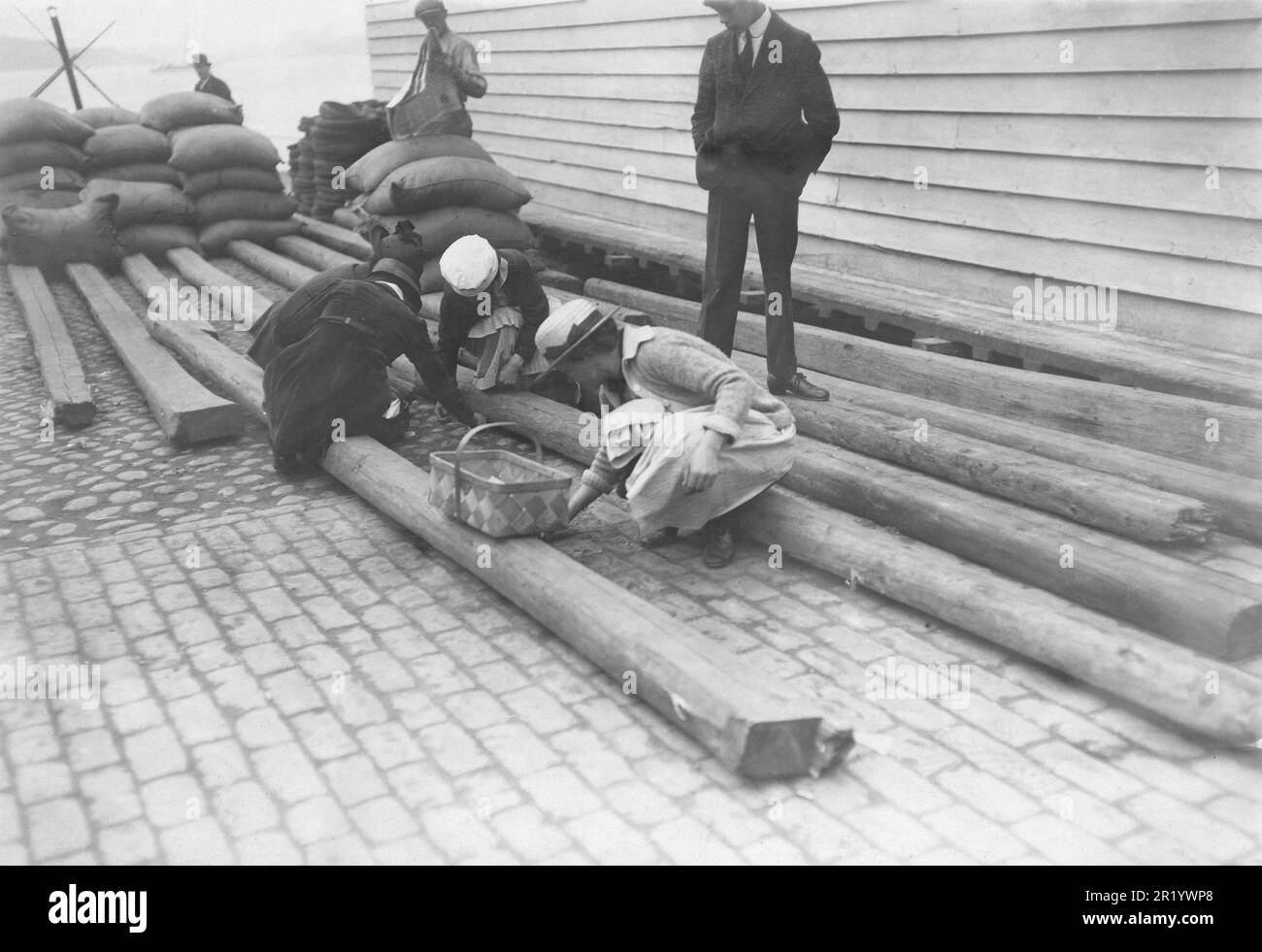 La pauvreté au début du 20th siècle. Trois femmes sont vues à la recherche de grains de café sur le quai de chargement de Riddarholmen à Stockholm. Les sacs de grains de café sont vus en arrière-plan et à travers tout petit trou dans eux, les grains ont peut-être chuté sur le sol. Suède 1906 Banque D'Images