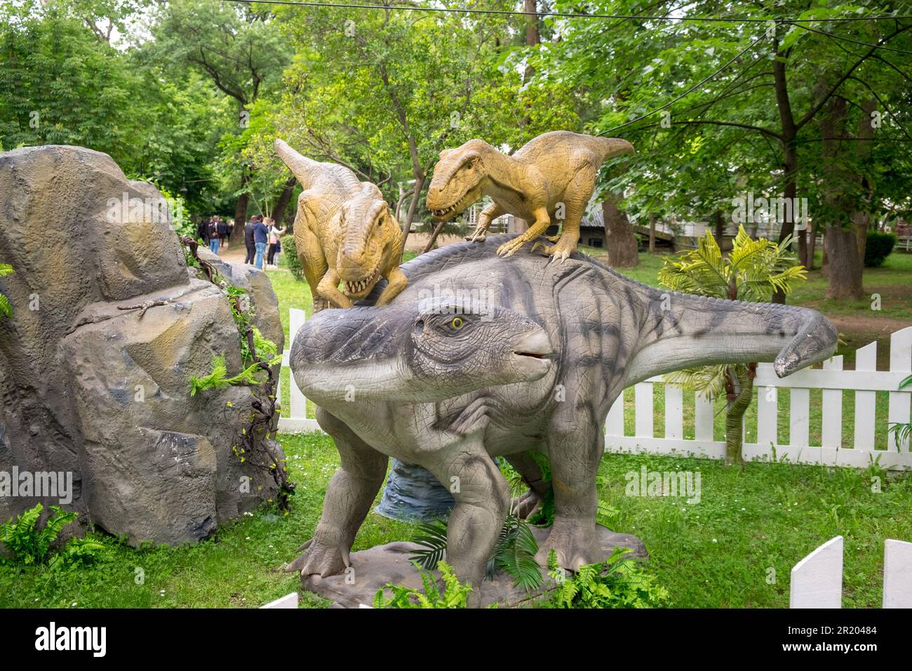 Dinosaures de Velosiraptor animatroniques ou robotiques attaquant le dos d'un autre dinosaure Banque D'Images