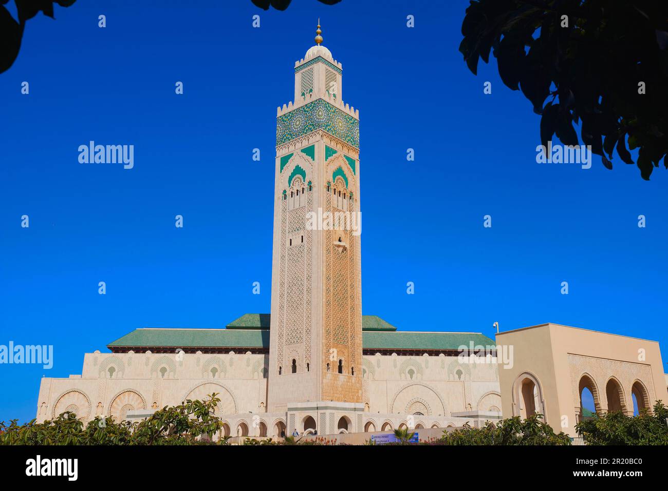 Casablanca, Mosquée Hassan II, Afrique du Nord, Maghreb, Côte Atlantique, Maroc Banque D'Images