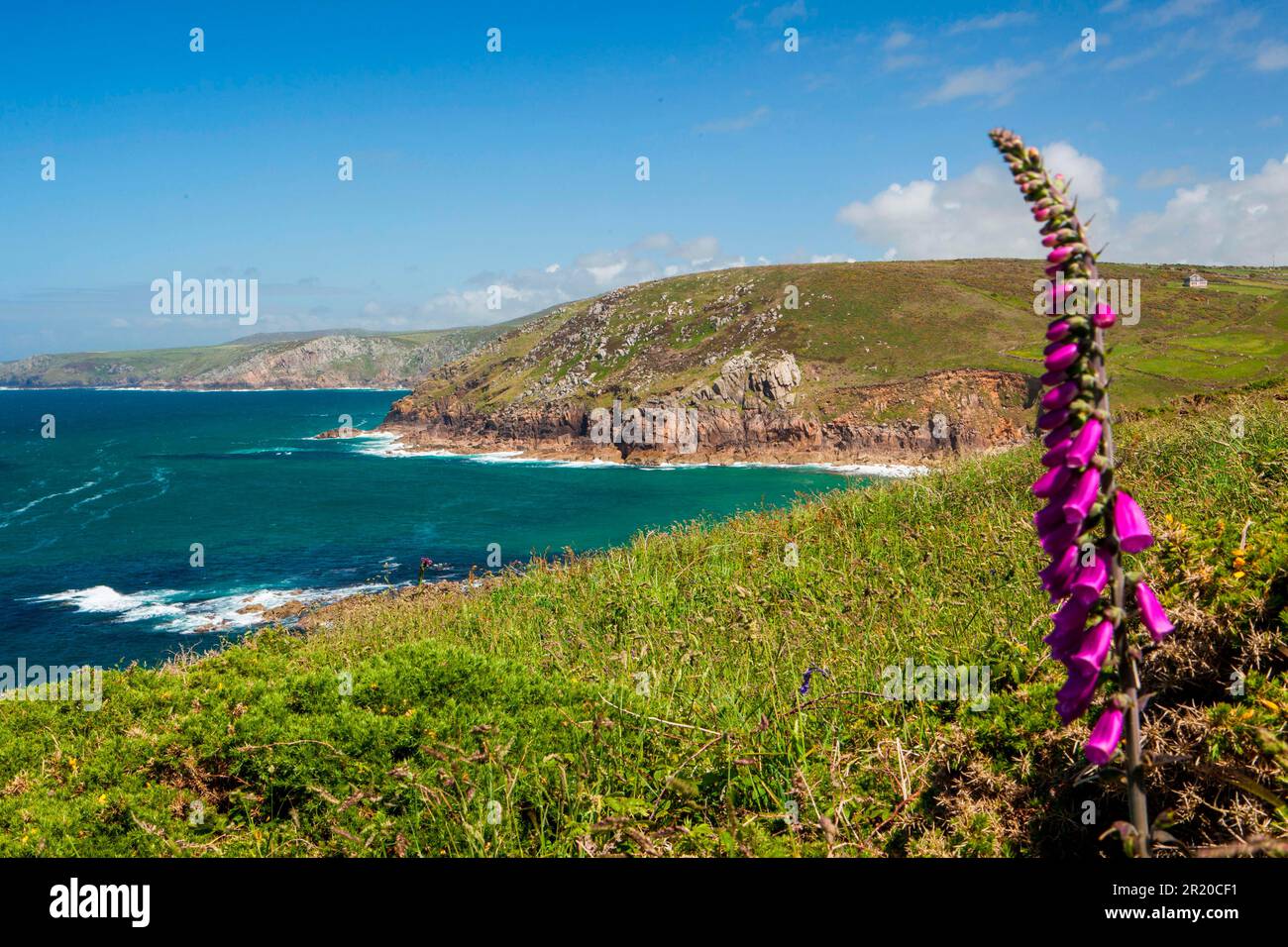 Pendeen Head, Cornwall, Angleterre, Royaume-Uni Banque D'Images
