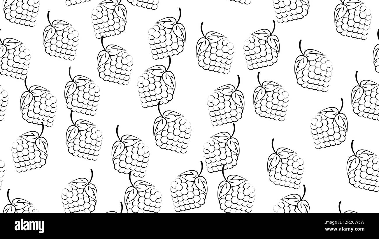 blackberry noir et blanc sur fond blanc, illustration vectorielle, motif. baie avec une grande feuille avec une branche. illustration de la nourriture appétissante, w Illustration de Vecteur