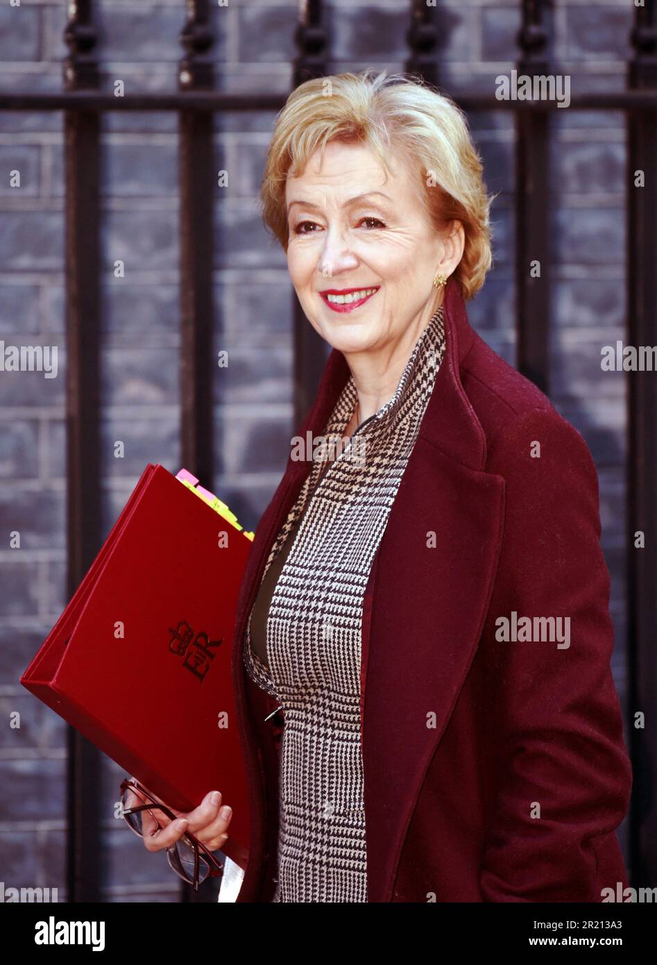 Photographie d'Andrea Leadsom, secrétaire d'État aux affaires, à l'énergie et à la stratégie industrielle, laisse le numéro 10 Downing Street, Londres, avant une réunion du cabinet Banque D'Images