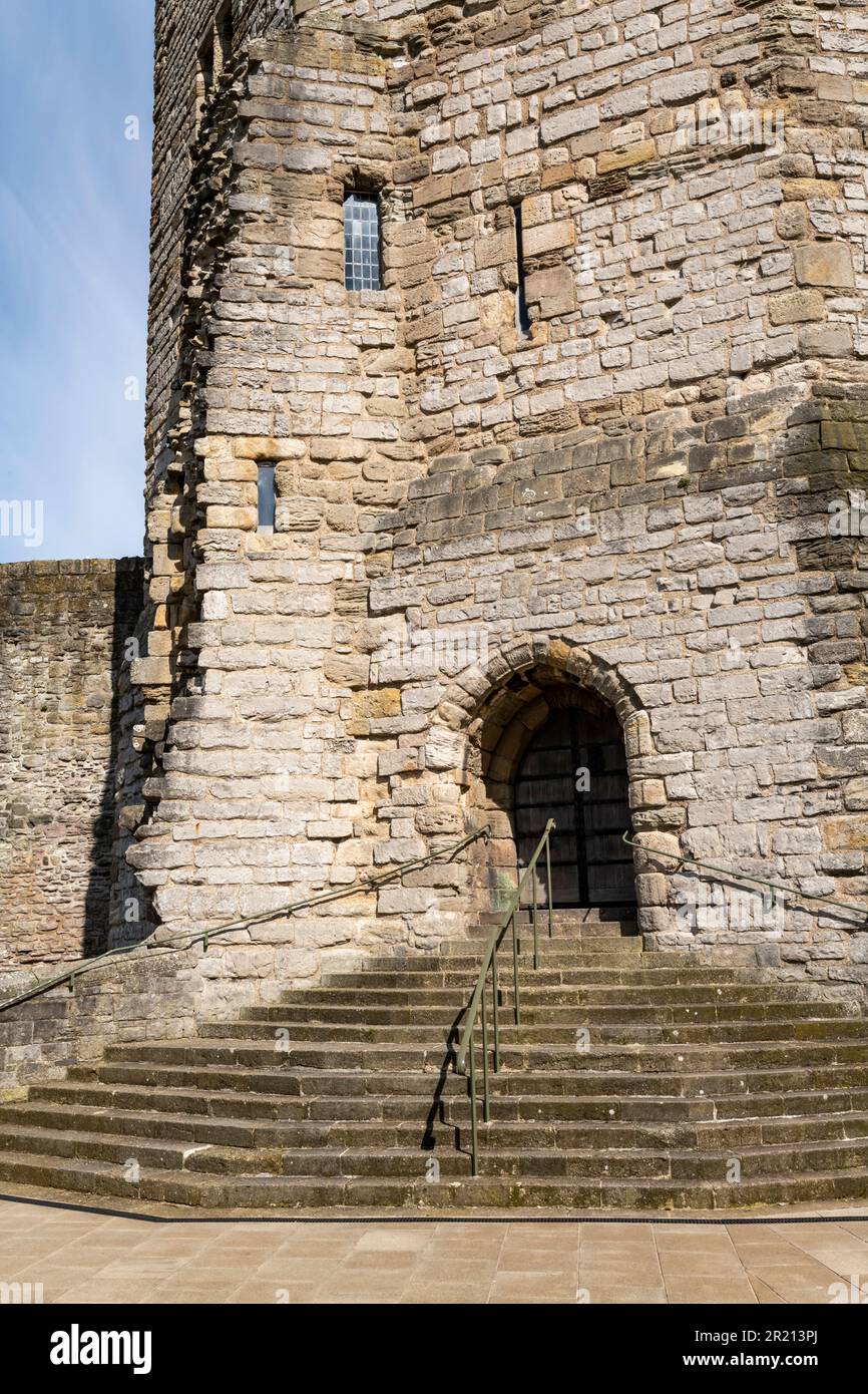 Tour de l'aigle, château de Caernarfon, Gwynedd, pays de Galles du Nord Banque D'Images