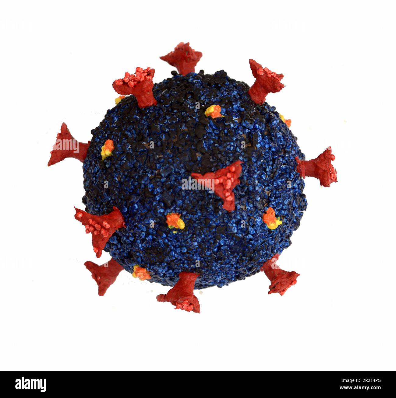 Un modèle du coronavirus du COV-SRAS-2 qui cause la maladie COVID-19. Le COV-SRAS-2 est un virus de l'espèce coronavirus lié au syndrome respiratoire aigu sévère (SARSR-COV). On croit qu'il est d'origine zoonotique et qu'il présente une similarité génétique étroite avec les coronavirus des chauves-souris, ce qui suggère qu'il est apparu à partir d'un virus transmis par les chauves-souris. 2022. Banque D'Images