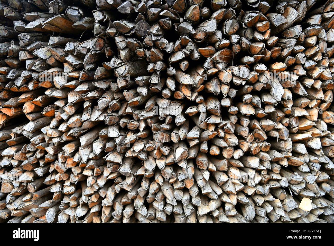 Stockage du bois dans le village de Pi po à l'est de Kaiyuan dans la préfecture autonome Hani et Yi, province du Yunnan, Chine du Sud-Ouest - le village abrite la Pula, une sous-minorité du peuple Yi ou Lolo, un groupe ethnique en Chine, au Vietnam et en Thaïlande. Avec 8 millions d'habitants, ils sont le septième groupe de minorités ethniques parmi les 55 groupes minoritaires. Banque D'Images