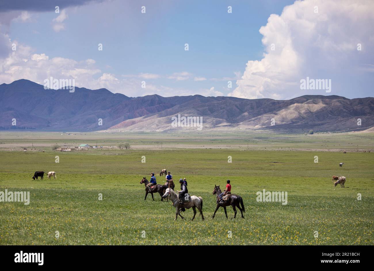 Toguzbulak, Kirghizistan-9 juin 2022: Des cavaliers non identifiés jouent à cheval sur le Kok Boru dans la campagne près de Toguzbulak, Kirghizistan. Banque D'Images