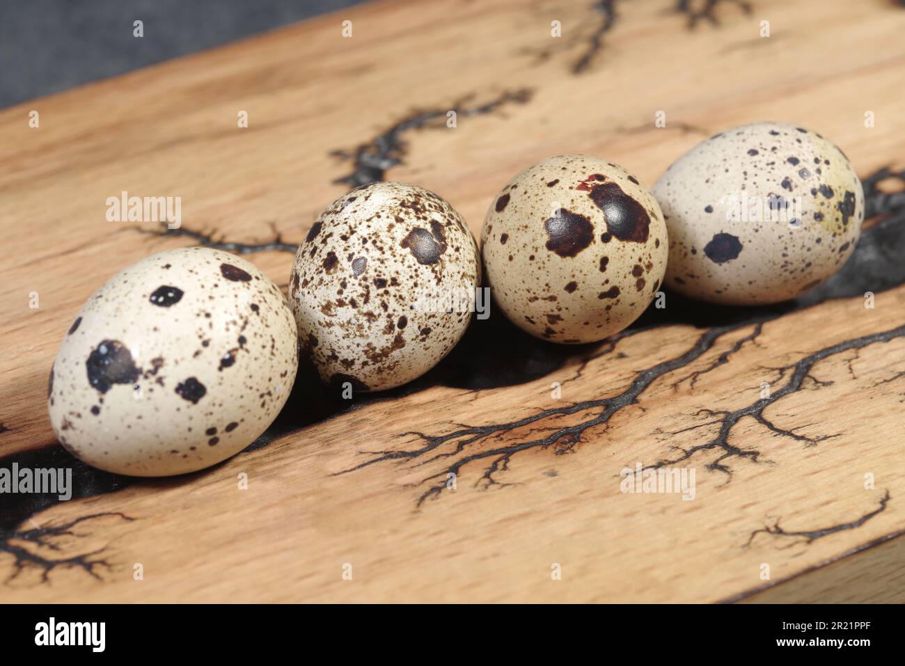 Œufs de caille, œufs de caille frais et plumes sur fond de table, œufs crus coquillage Banque D'Images