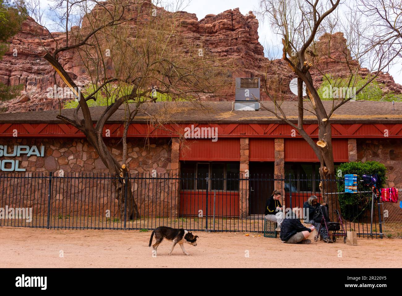 Les touristes parlent avec un homme Havasu dans le village de Havasupai, Arizona, Etats-Unis. Banque D'Images