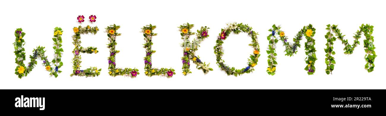 Fleurs colorées Mot de construction Wellkomm, arrière-plan isolé Banque D'Images