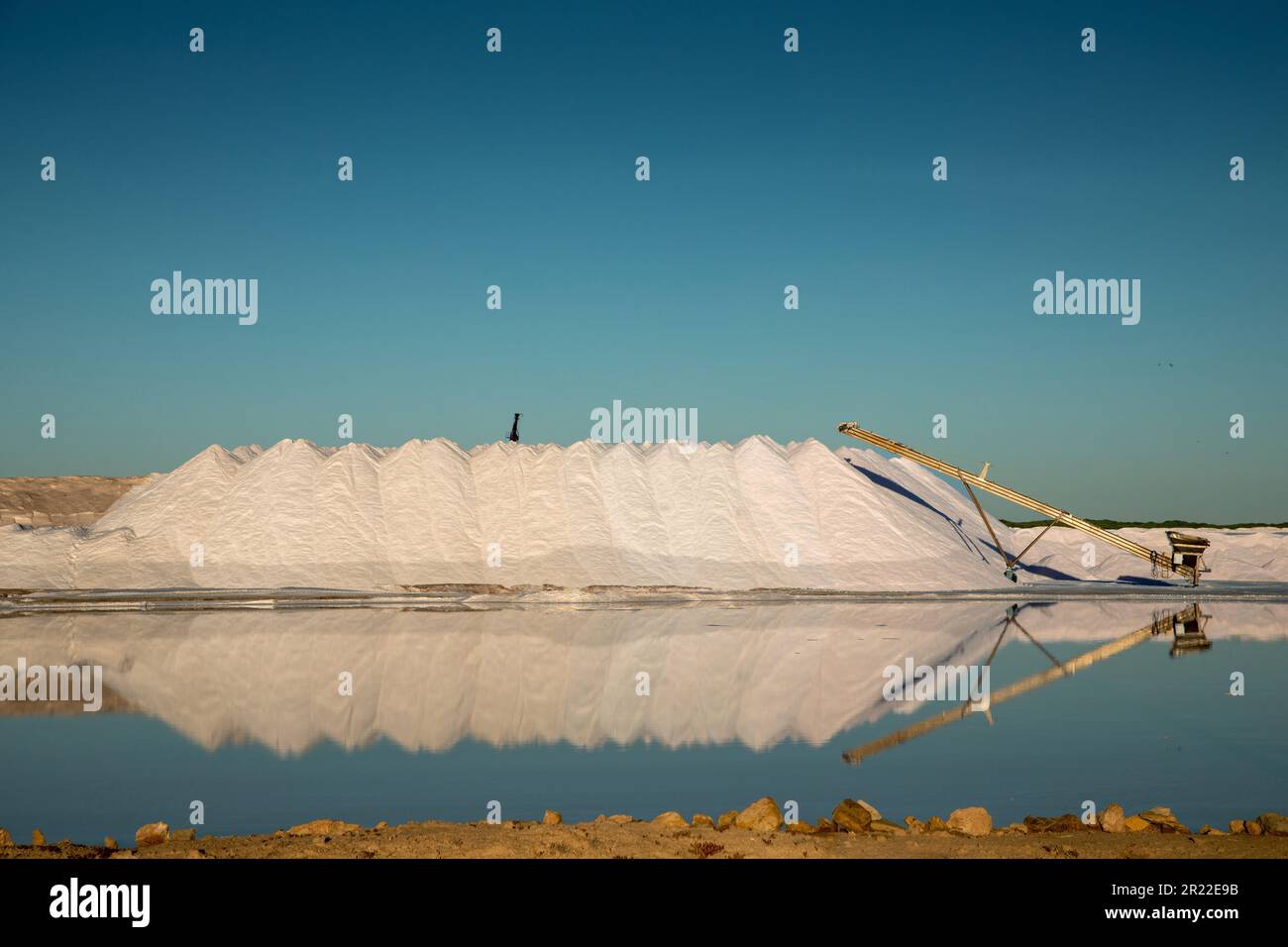 Salin Bonanza, décharge de sel dans la lumière du matin, Espagne, Andalousie, Sanlucar de Barrameda Banque D'Images