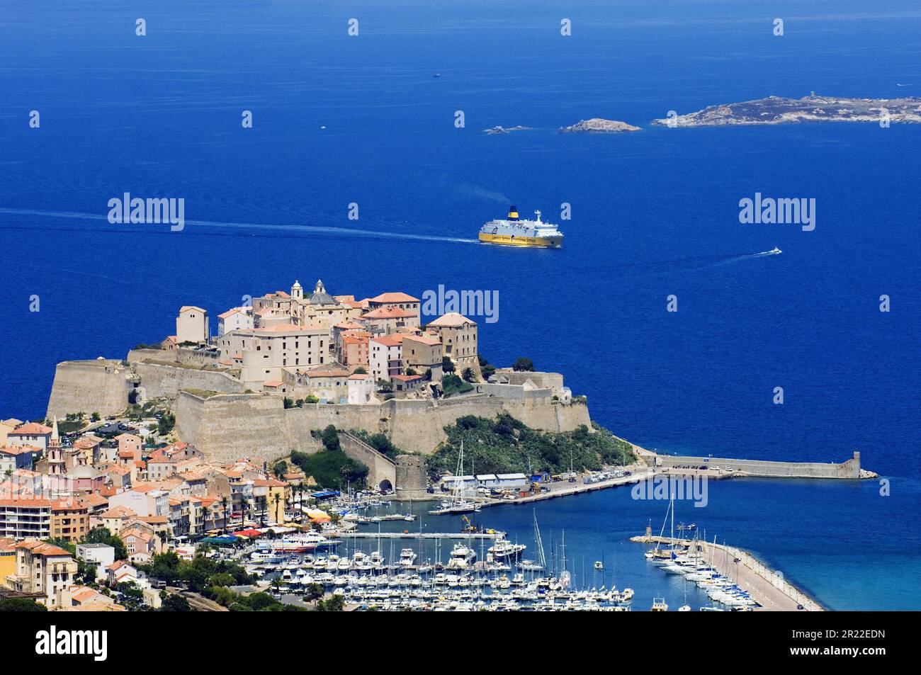 port un château de Calvi, France, Corse, Calvi Banque D'Images