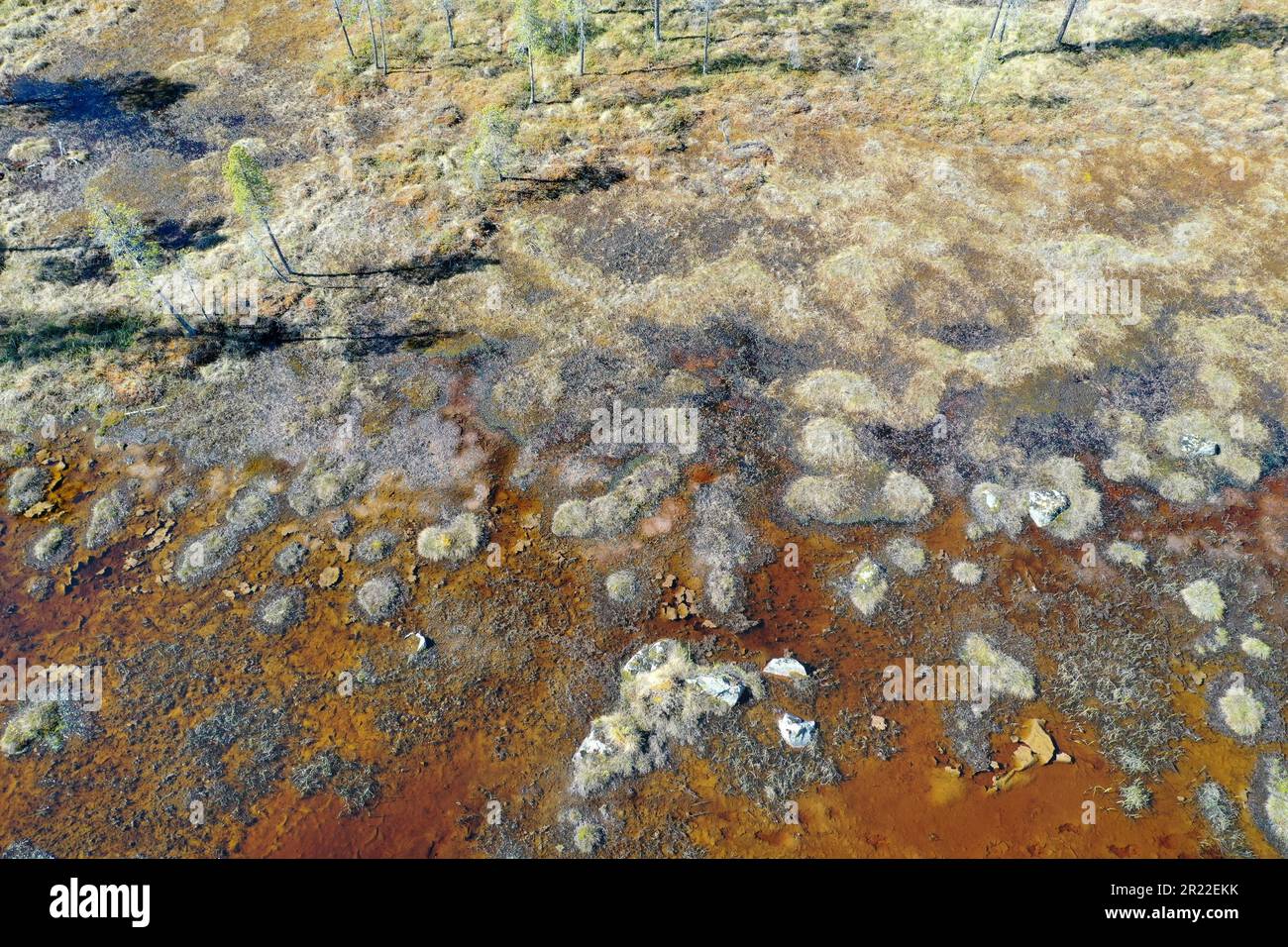 étang sur terre de marais, vue aérienne, Suède, Laponie, Kiruna Banque D'Images