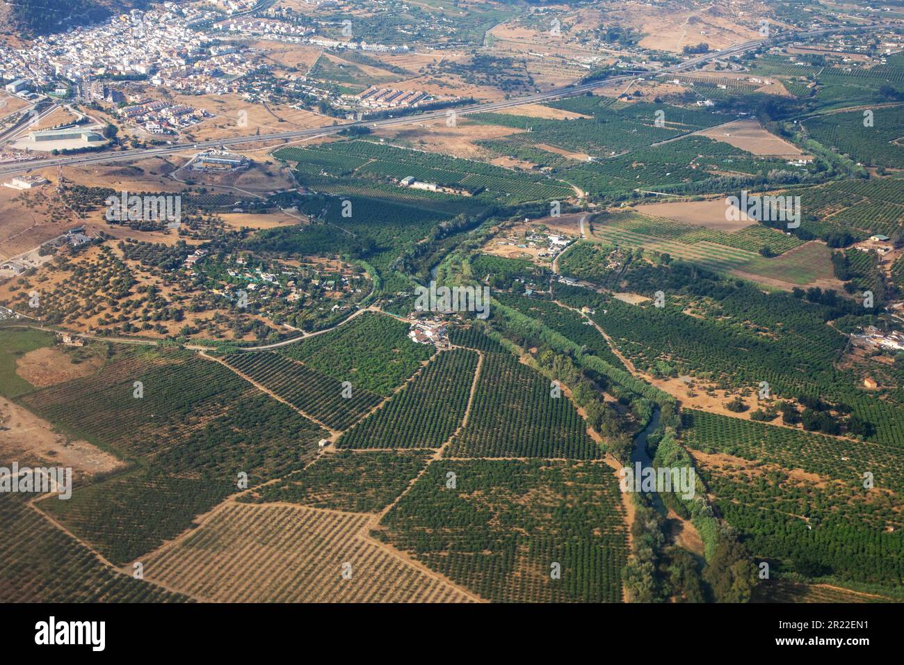 Oliveraies un paysage de terrain au nord de Malaga, vue aérienne, Espagne, Andalousie Banque D'Images