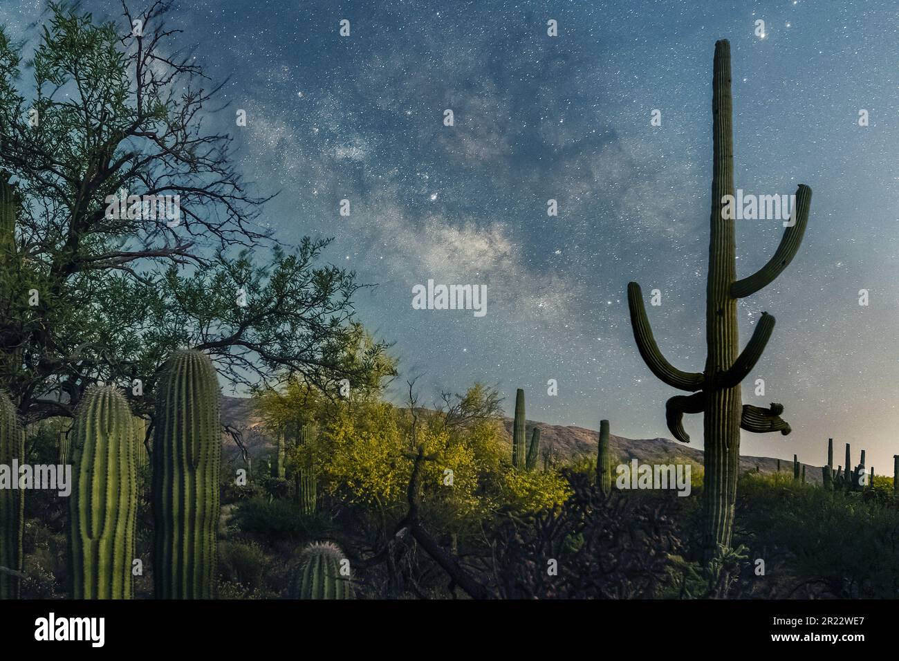 La voie lactée illuminera le ciel nocturne de l'Arizona Banque D'Images