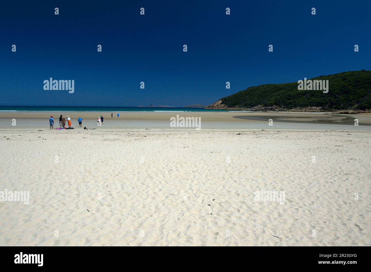 Norman Beach se trouve à Tidal Inlet, à l'extrémité sud du parc national Wilsons Promontory, à Victoria, en Australie. Ce n'est généralement pas si vide ! Banque D'Images