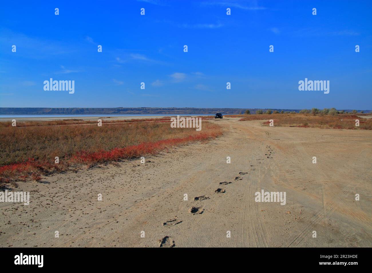 La photo a été prise en Ukraine dans la région d'Odessa. La photo montre la partie sauvage de steppe près de l'estuaire. Banque D'Images