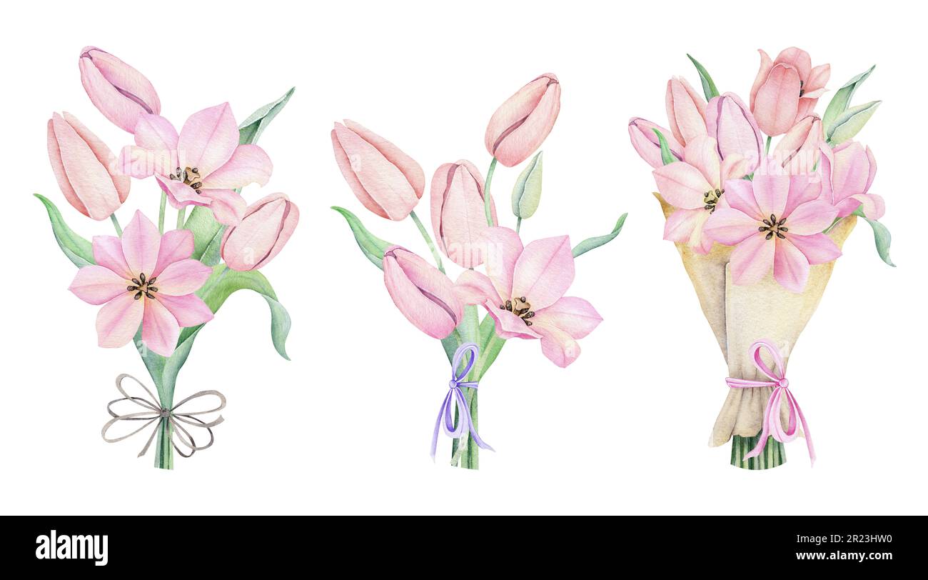 Ensemble de bouquets avec fleurs de tulipe roses. Bouquet de fleurs printanières avec noeud. Illustration aquarelle dessinée à la main pour le motif de pâques, les annonces, le message d'accueil Banque D'Images