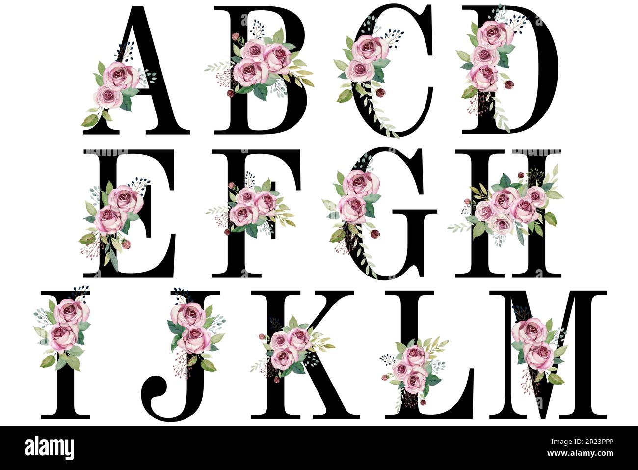 Alphabet floral aquarelle. Banque D'Images