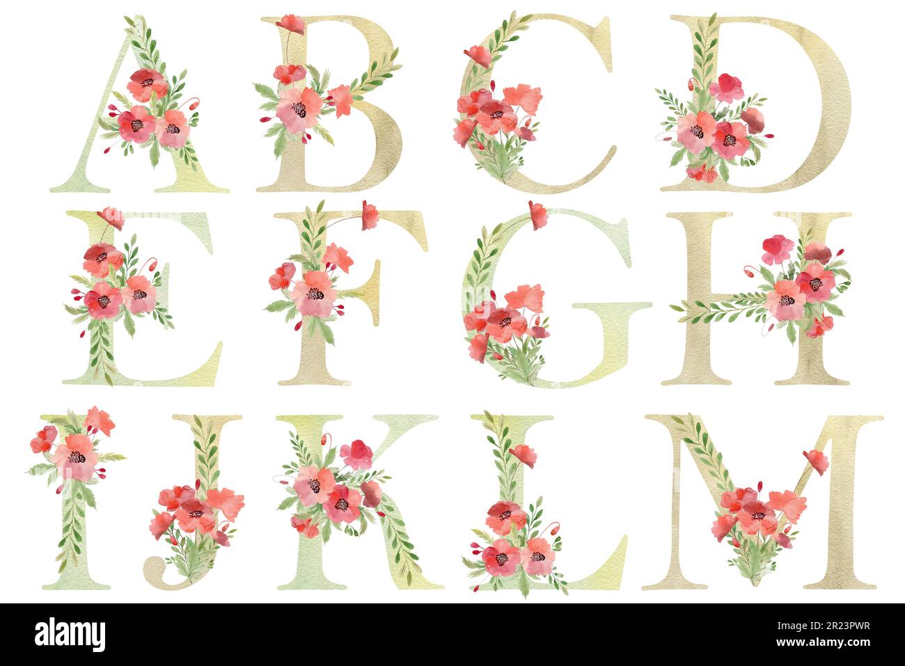 Alphabet floral aquarelle. Banque D'Images