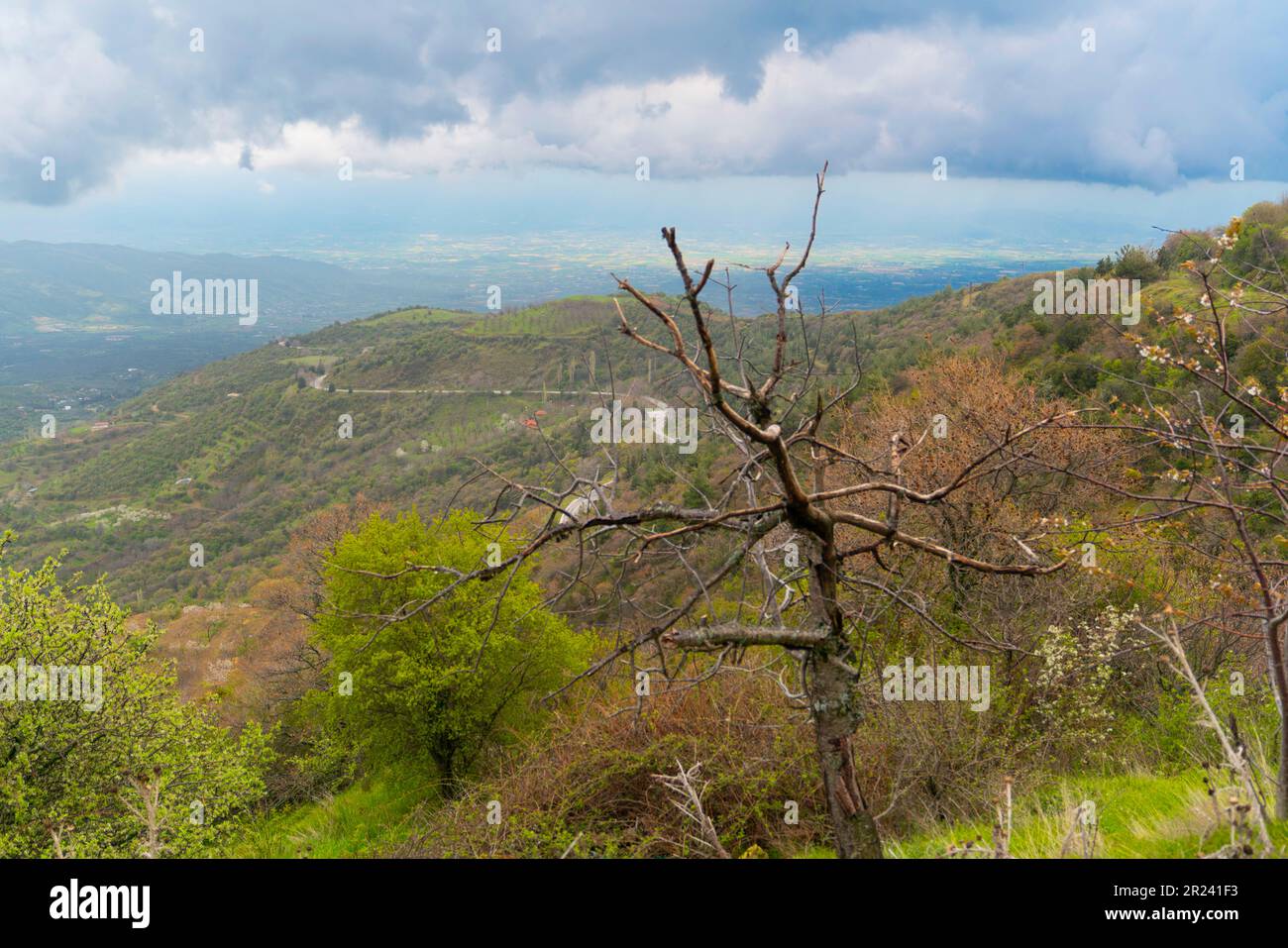 Allant de l'est d'Izmir au plateau Anatolien occidental de la Turquie (officiellement la République de Türkiye), les monts Boz (Bozdag) font partie des dénombreuses Banque D'Images