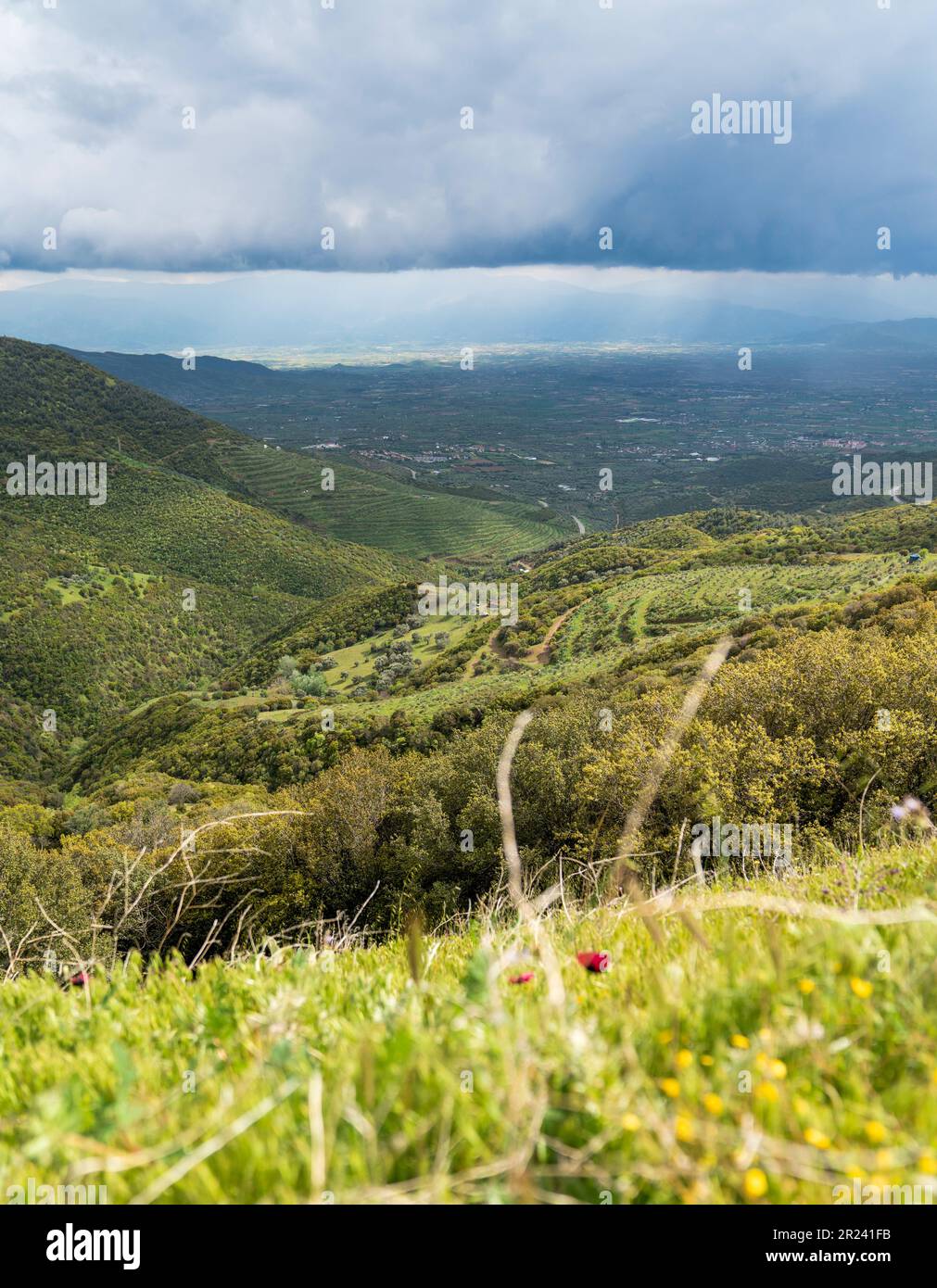 Allant de l'est d'Izmir au plateau Anatolien occidental de la Turquie (officiellement la République de Türkiye), les monts Boz (Bozdag) font partie des dénombreuses Banque D'Images