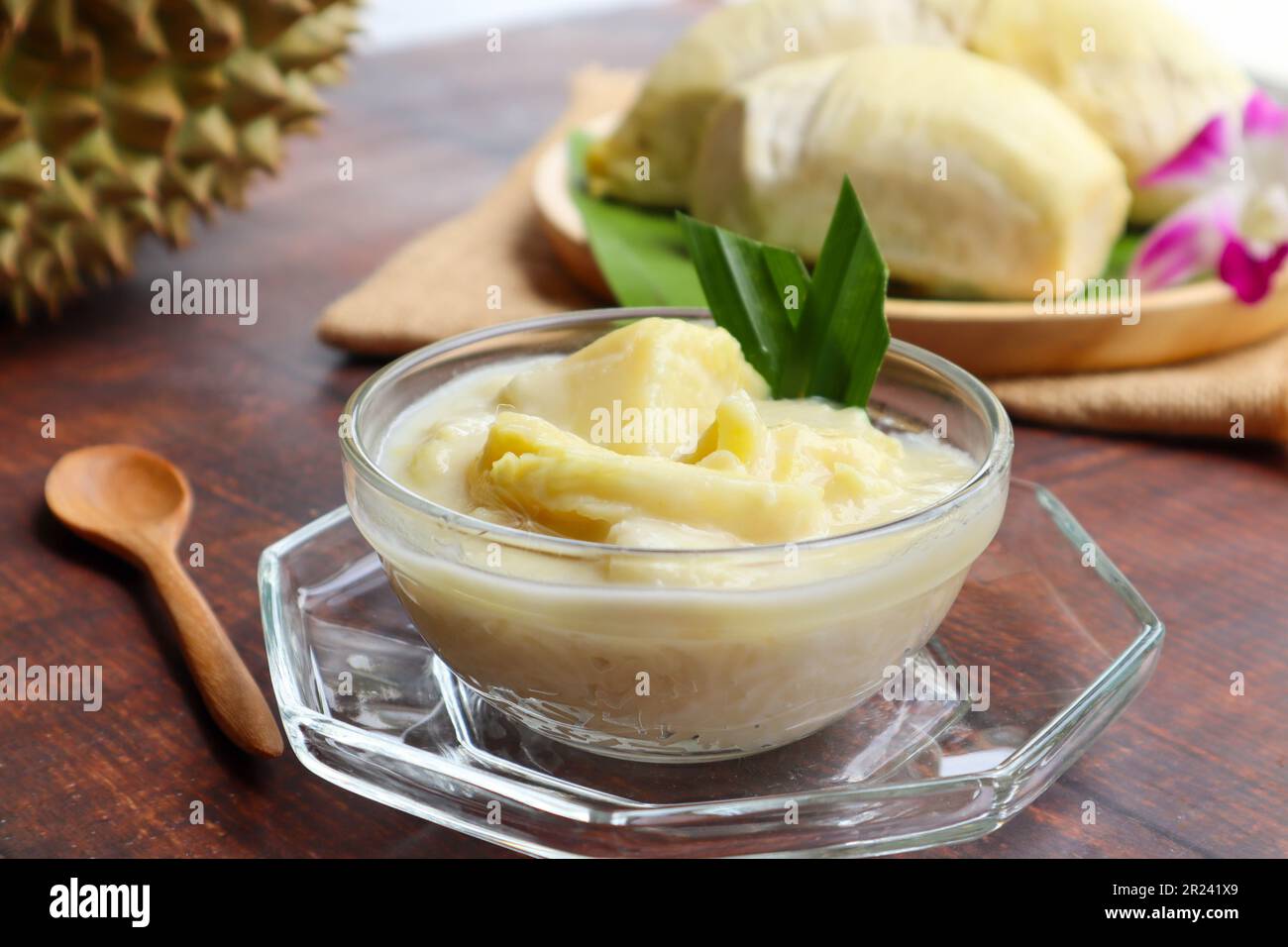 Riz doux et collant thaïlandais avec durian dans le lait de coco en vue rapprochée - dessert thaïlandais appelé Khao Nieow Nam Kati Durian Banque D'Images