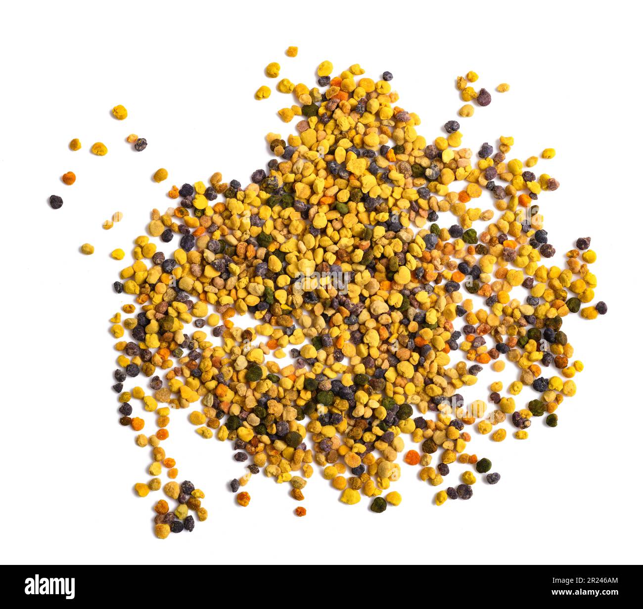 Pollen d'abeille isolé sur fond blanc Banque D'Images