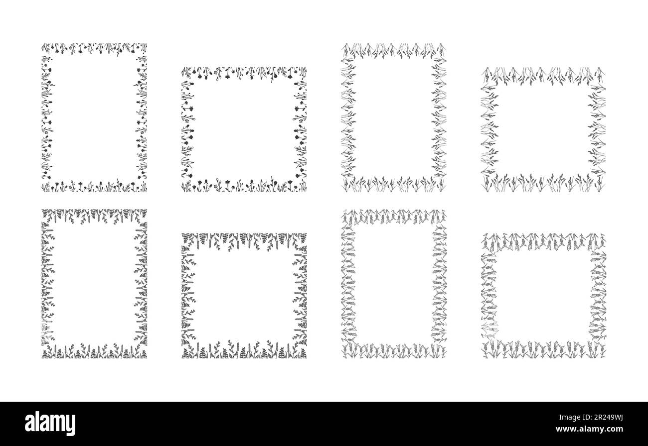 Bordures élégantes rétro et ornements de prairie en filigrane. Illustration de Vecteur