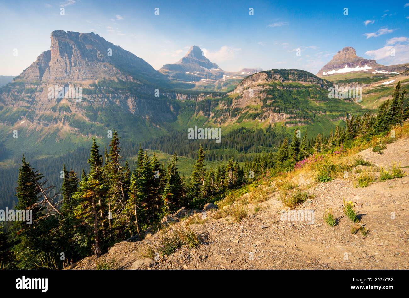 Vue sur le bord de la route vers le soleil dans le parc national de Glacier, Montana Banque D'Images