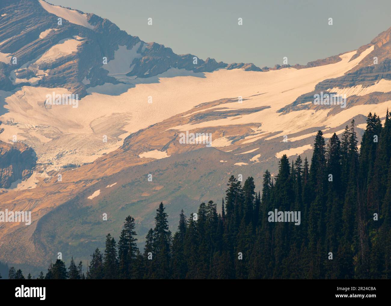 Vue sur le bord de la route vers le soleil dans le parc national de Glacier, Montana Banque D'Images