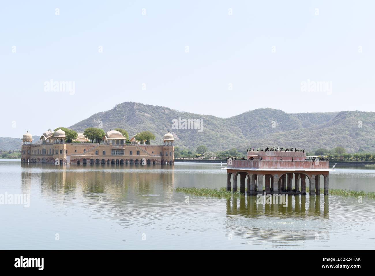 JAL Mahal au milieu du lac Man Sagar, Jaipur. Banque D'Images