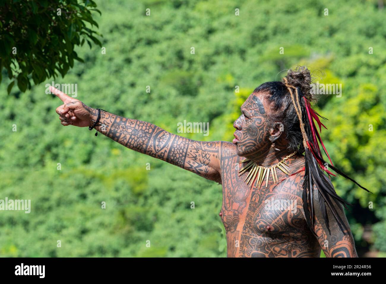 Polynésie française, Iles de la Société, Raiatea. Cheif de village couvert de tatouages traditionnels. Banque D'Images