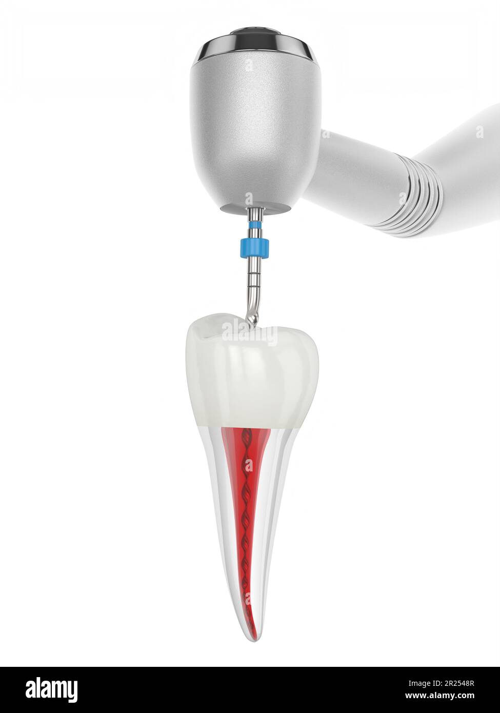 3d rendu de la dent prémolaire avec pièce à main et lime endodontique rotative sur fond blanc. Concept de traitement endodontique. Banque D'Images