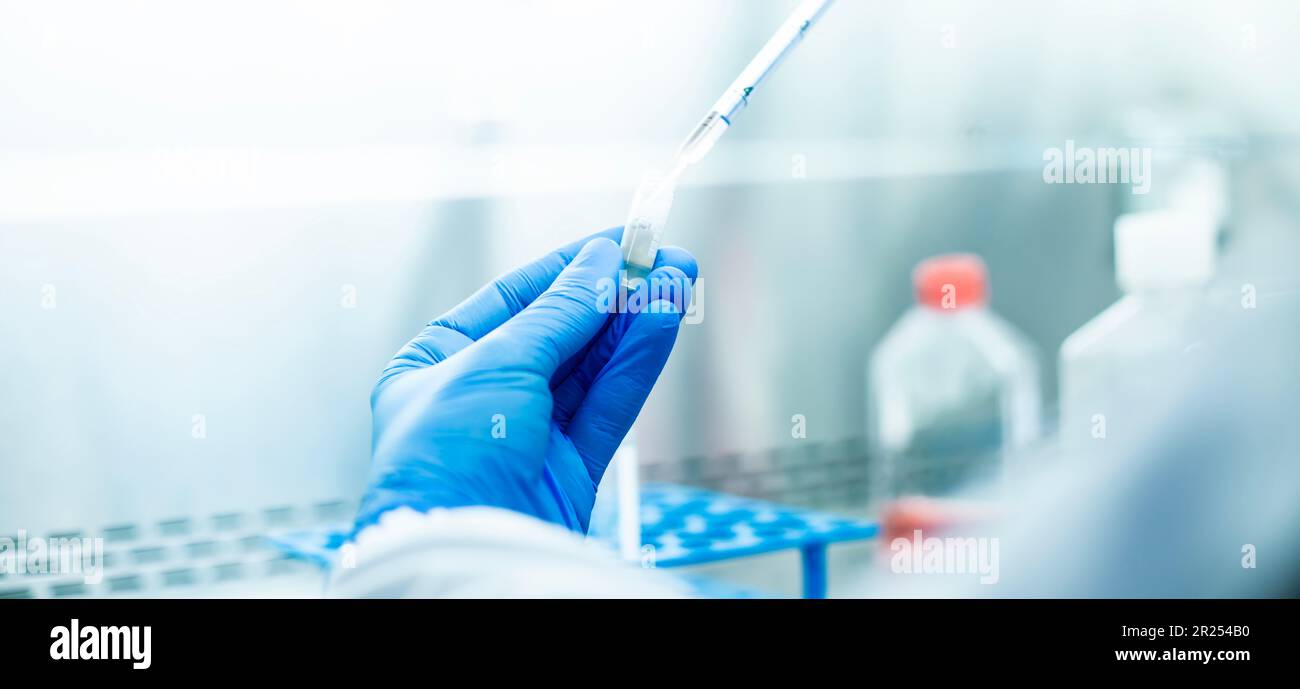 milieux de culture cellulaire Banque D'Images