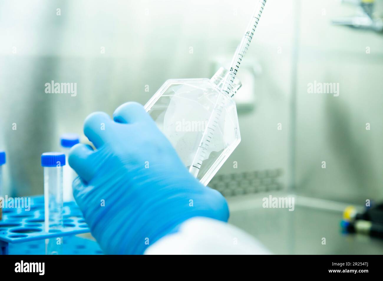 milieux de culture cellulaire Banque D'Images