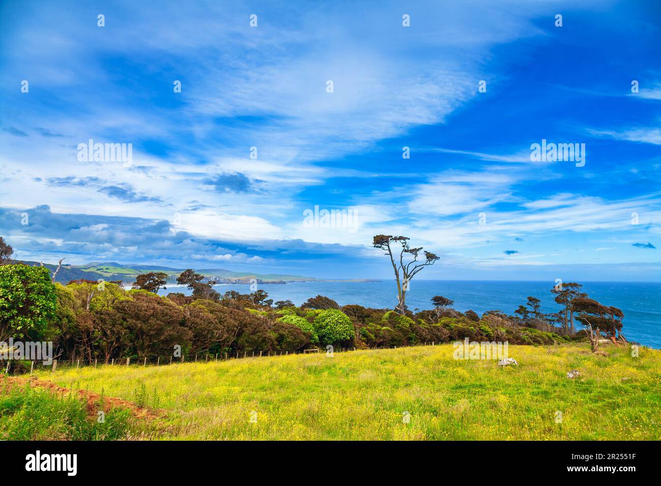 Pittoresque Catlins Coast près de Papatowai dans le sud de l'île de Nouvelle-Zélande Banque D'Images
