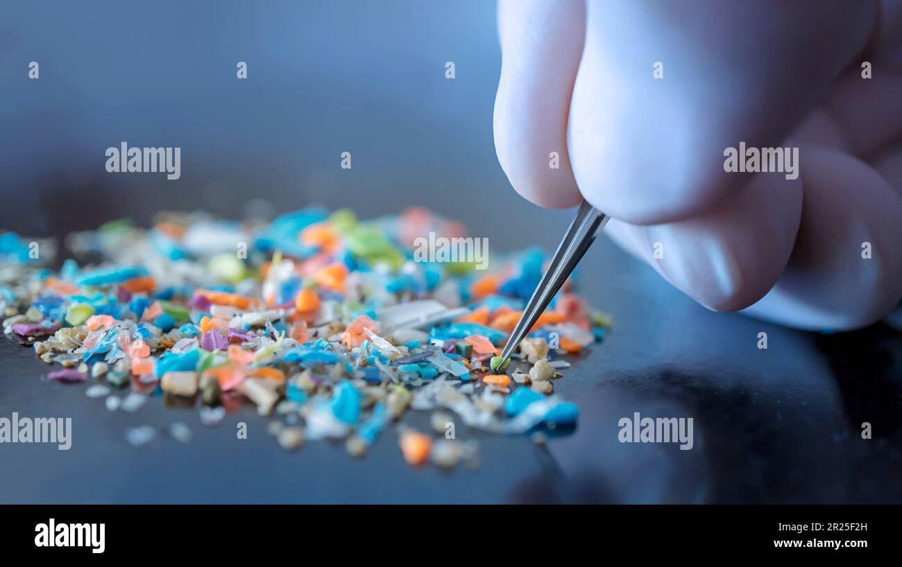 Photo macro d'une personne avec des gants médicaux et des pinces à épiler inspectant une pile de micro-plastiques. Concept de pollution de l'eau et réchauffement de la planète. Banque D'Images