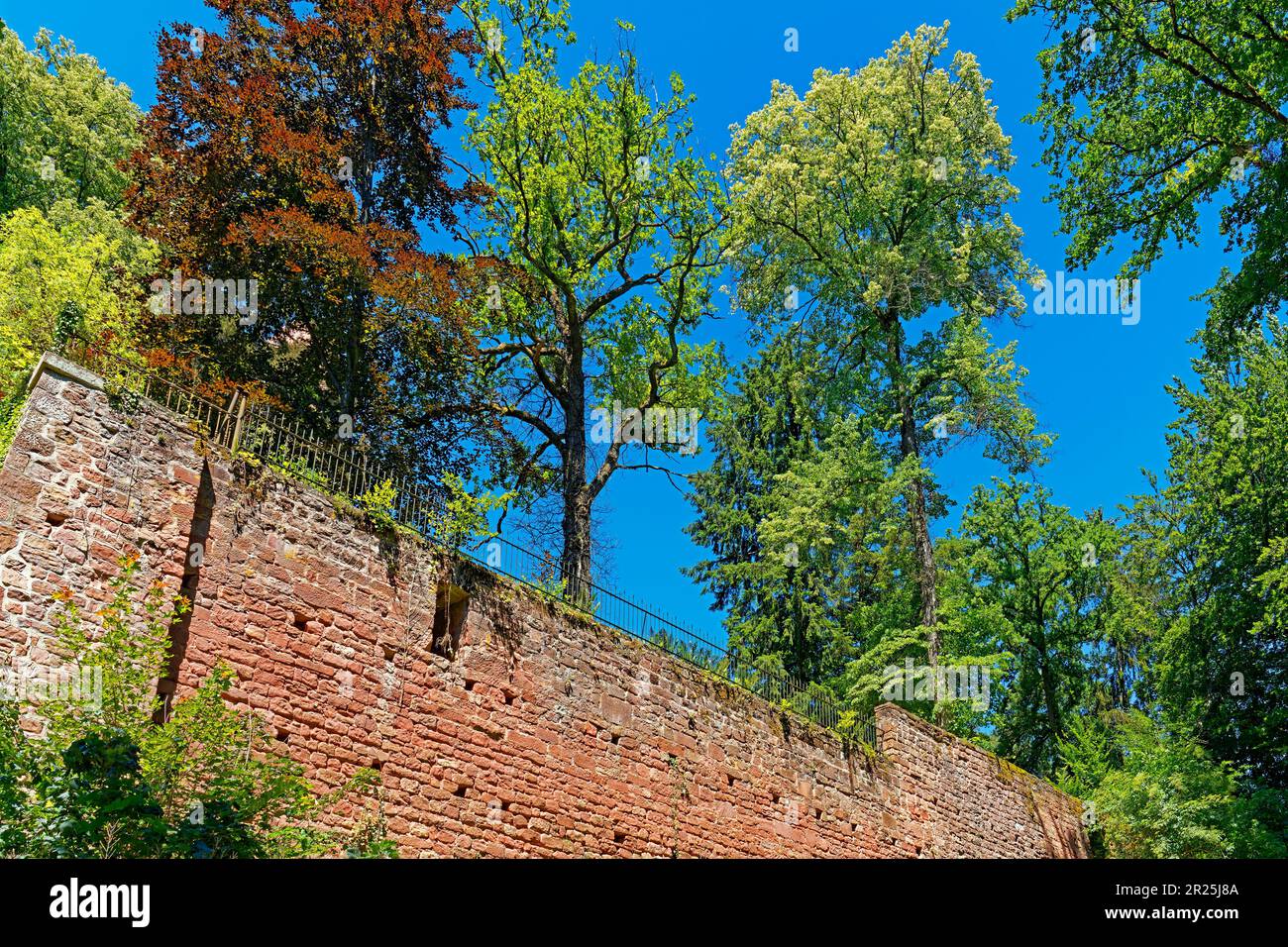 Burg Berwartstein Banque D'Images