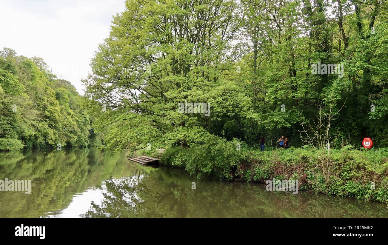 Durham, Royaume-Uni - 9 mai 2023 : vue du bateau de croisière Prince Bishop sur le port. Arbres verts luxuriants sous le soleil de printemps. Banque D'Images