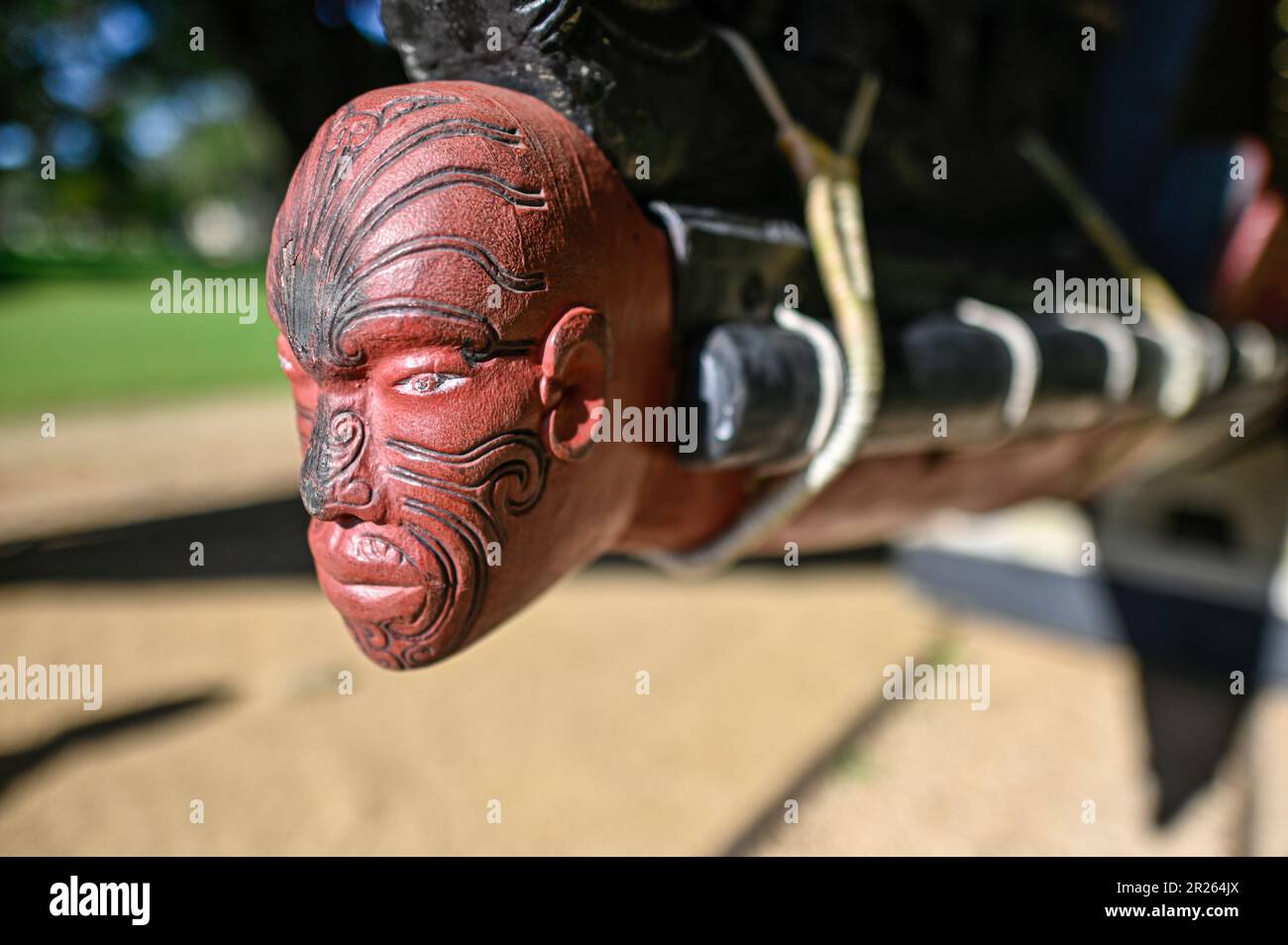 Ngatokimatawhaorua : il s'agit d'un énorme waka taua, un canot de guerre traditionnel de Māori, mesurant environ 35 mètres de long. Ngatokimatawhaorua est le plus grand waka taua de Nouvelle-Zélande et est souvent utilisé à des fins de cérémonie. Il représente les fortes traditions maritimes du peuple Māori et sert de symbole de l'identité culturelle. Banque D'Images