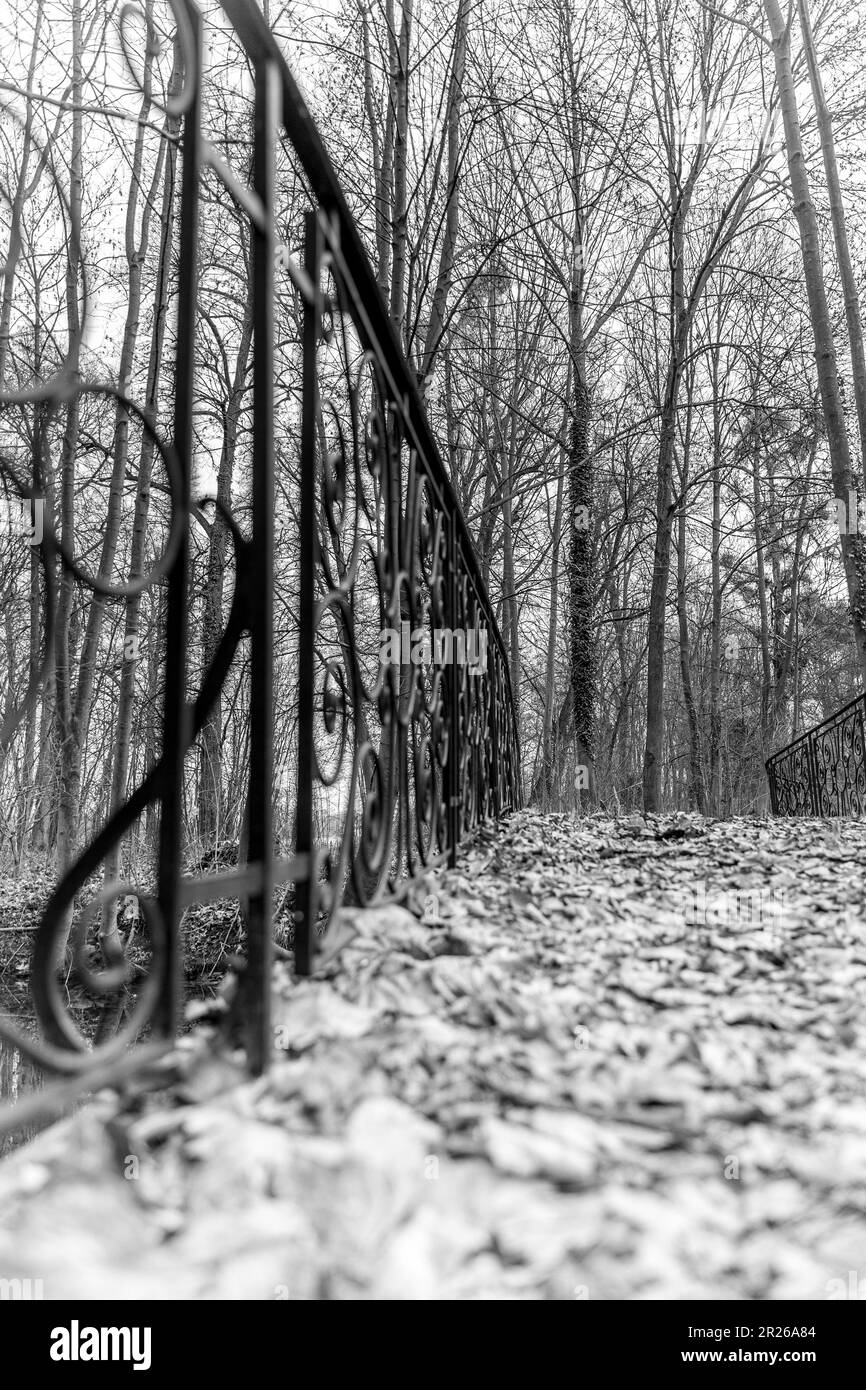 le vieux pont mène au-dessus du petit étang. L'ensemble du pont est couvert de feuillage. Banque D'Images