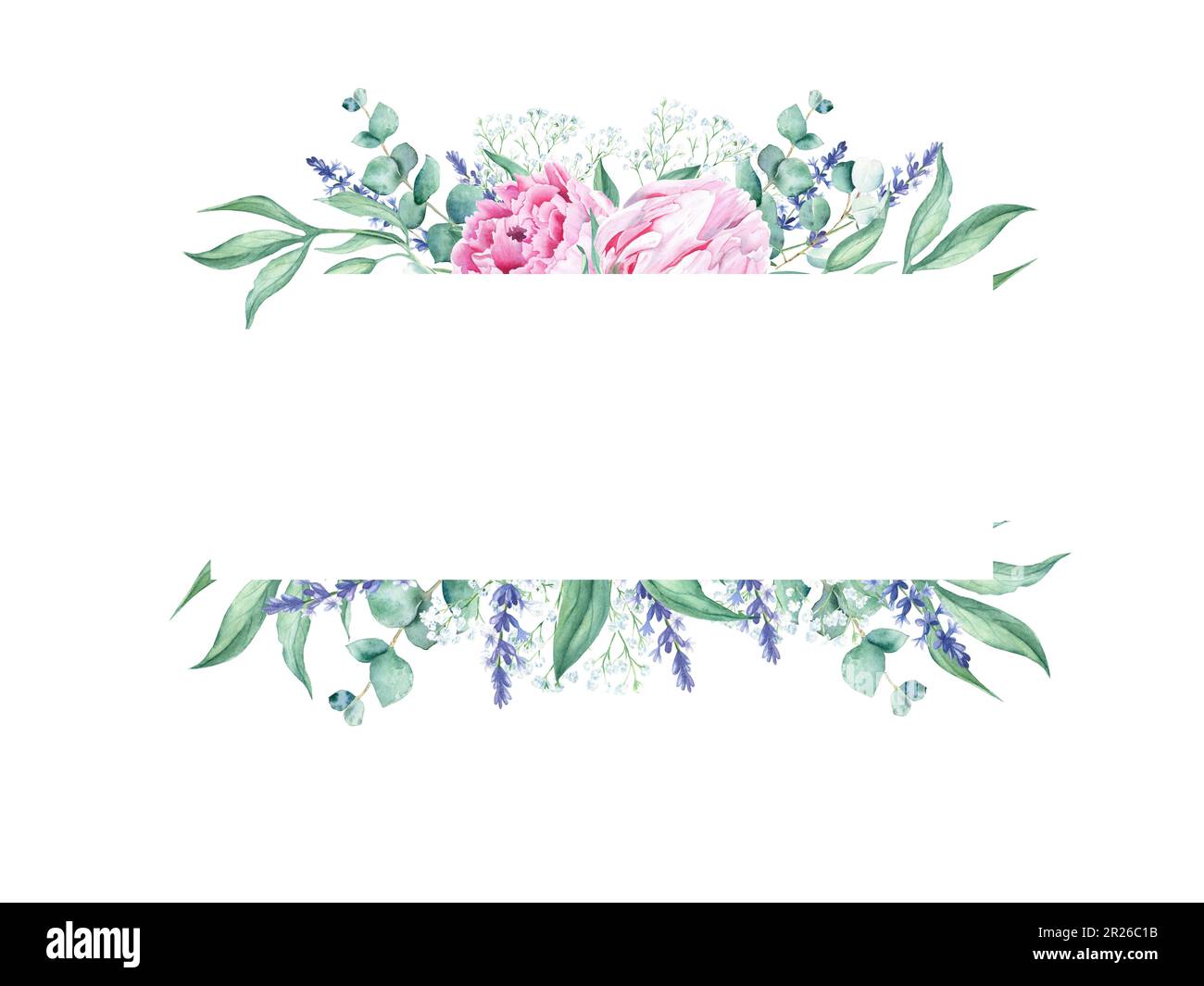 Cadre horisontal aquarelle, pivoines roses, eucalyptus, gitsophila et branches de lavande. Illustration botanique dessinée à la main isolée sur blanc Banque D'Images