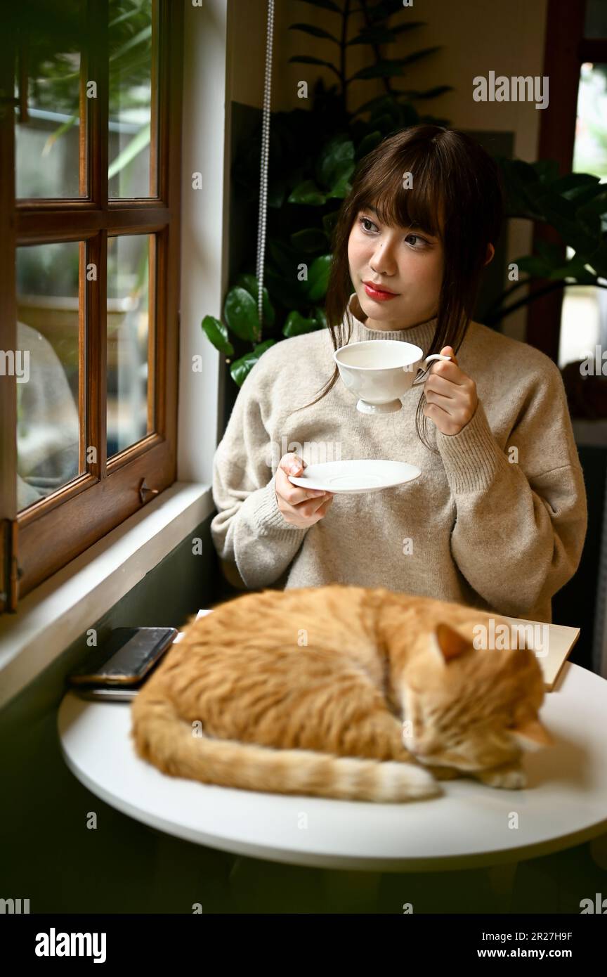 Portrait d'une charmante jeune femme asiatique dans un confortable chandail sirotant du thé à une table près de la fenêtre dans son salon confortable avec son chat orange. Banque D'Images