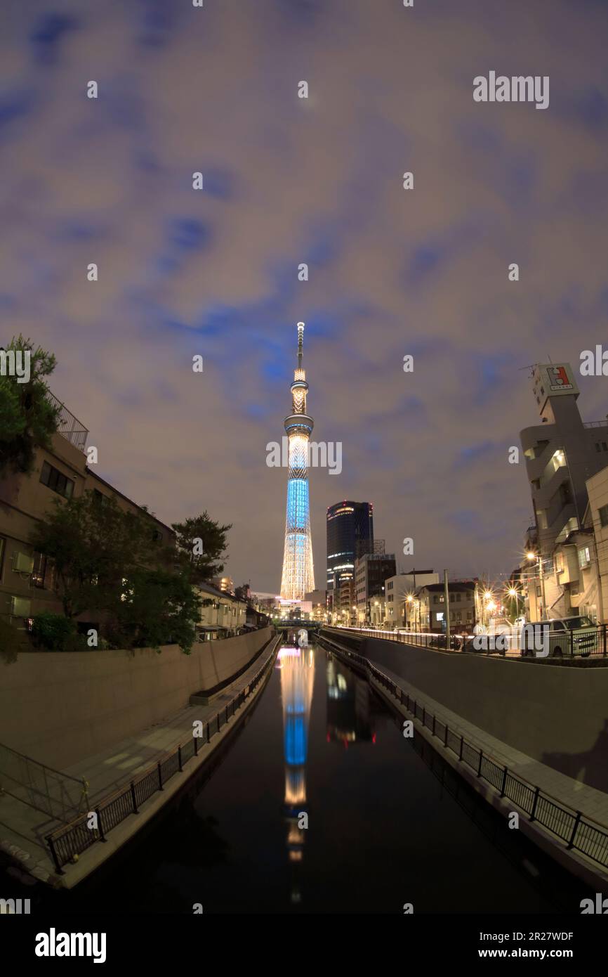 Sky Tree illuminé tendance Banque D'Images