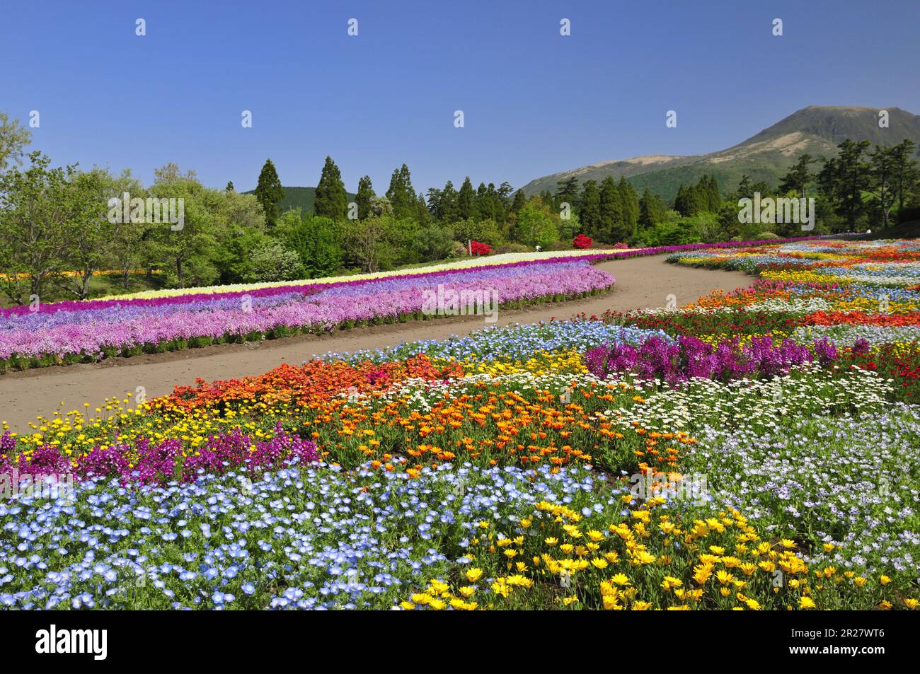 Parc de fleurs de Kuju Photo Stock - Alamy