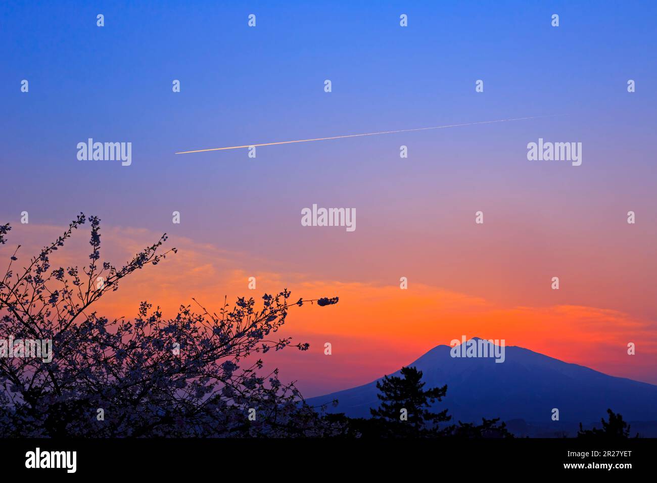 Mont Iwaki, coucher de soleil et contrail vus depuis le parc Hirosaki Banque D'Images