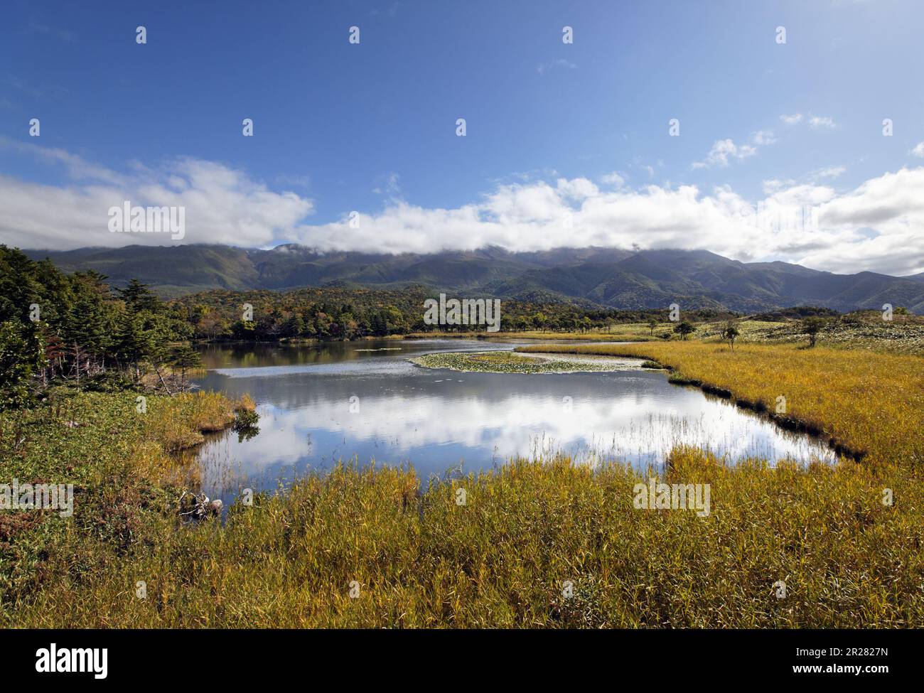 Ichiko, 1st Lac Banque D'Images