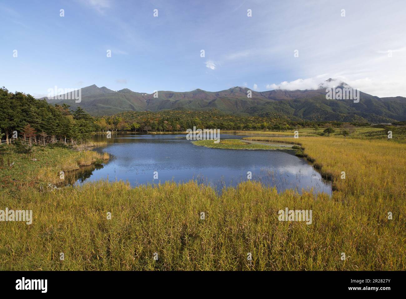 Ichiko, 1st Lac Banque D'Images