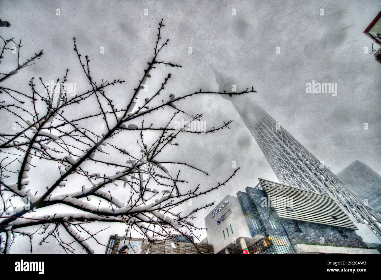 Sky Tree de Tokyo dans la neige Banque D'Images
